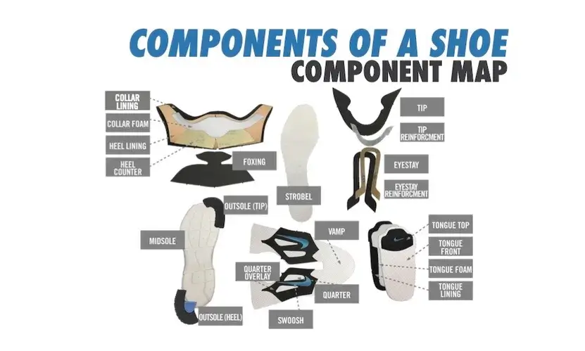 What Are The Components Of A Shoes